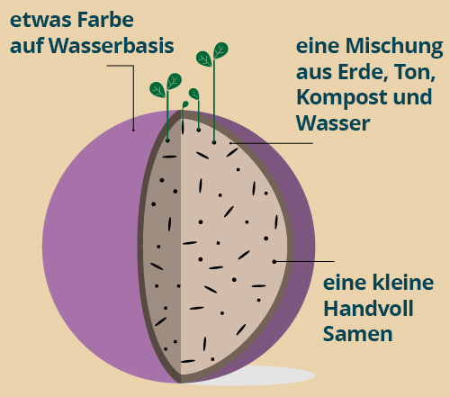 schnitt_bomba